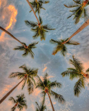 ảnh vấn đề mkt ngành du lịch lữ hành