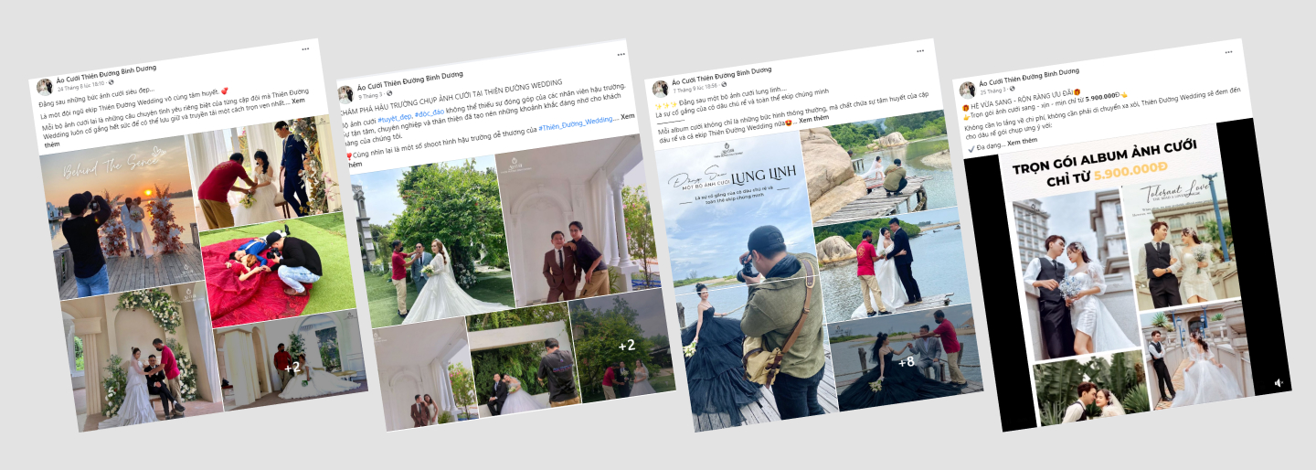 showcase mkt ngành studio