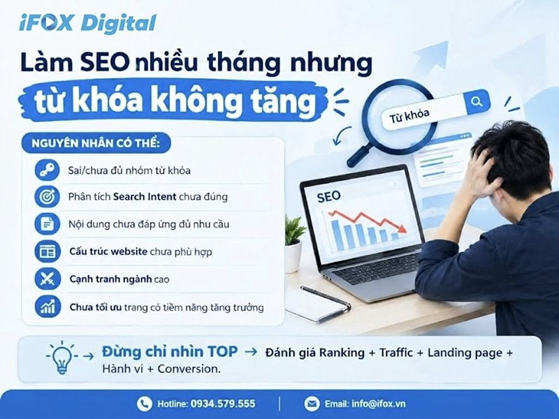 Làm SEO nhiều tháng nhưng từ khóa không tăng